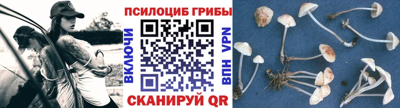 Псилоцибиновые грибы мицелий  маркетплейс официальный сайт  Калининград 